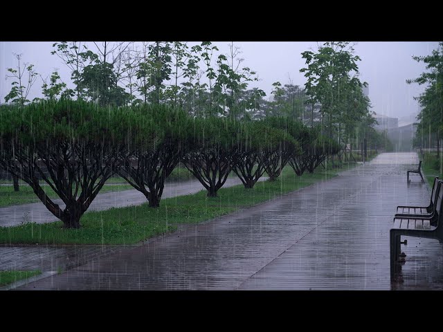 Deep sleep with the sound of heavy rain on a rainy walk. The sound of rain falling asleep quickly