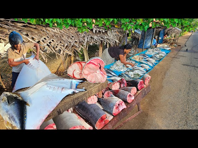 Amazing!! Special Village Most Satisfying Super Streets Fish markets