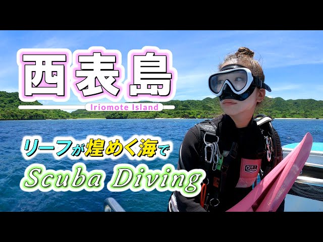 Scuba diving in Iriomote Island. Okinawa,JAPAN. Divepoint:NOBARU-EBITON