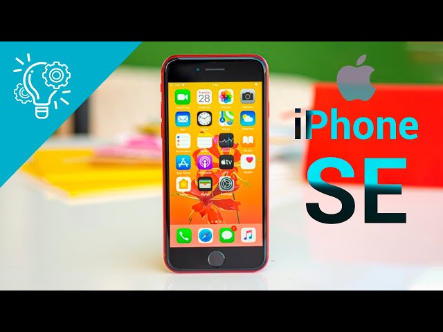 iPhone 9 or SE 2? Latest leaks & Rumors