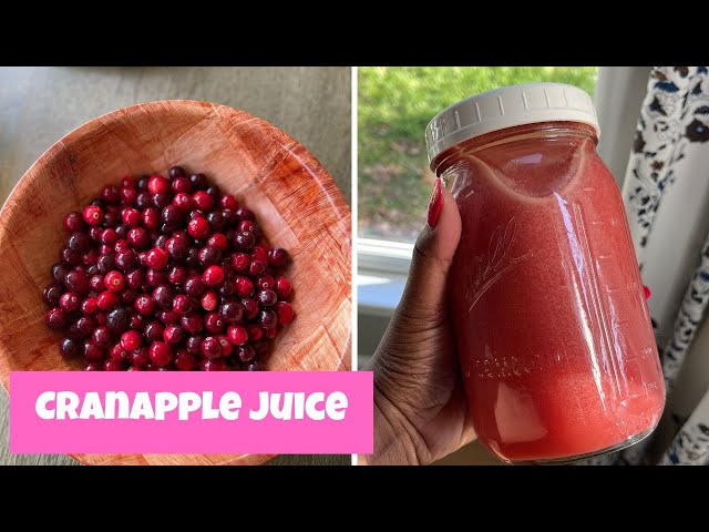 Healing Cranapple Juice with a Kick Using the Angel Juicer