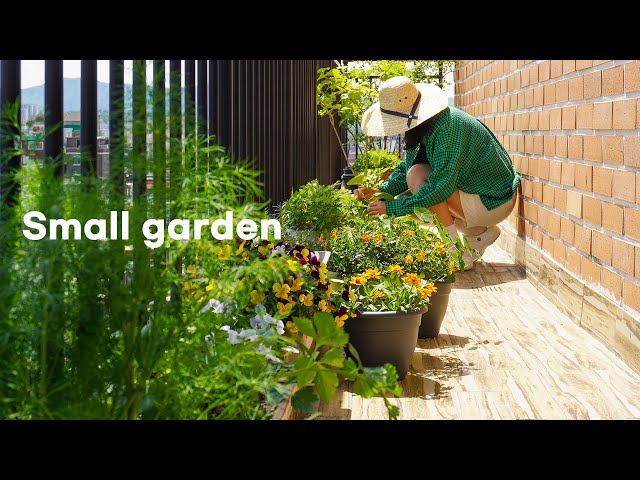 Korean vlog | Small terrace, but I want to make a garden.