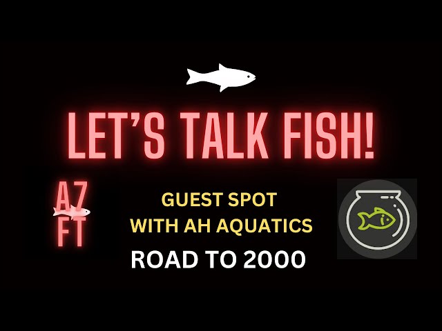 LET’S TALK FISH - AH AQUATICS