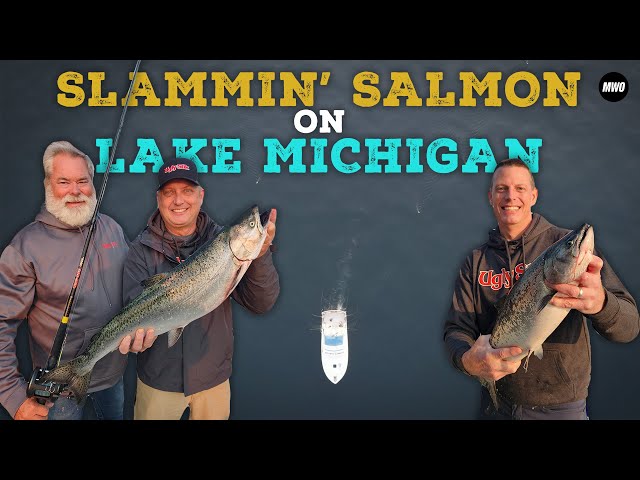 Salmon and Steelhead in Algoma WI on Lake Michigan