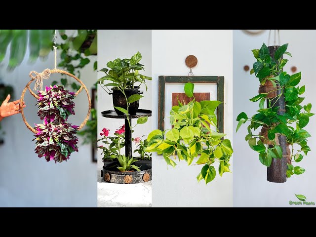 4 Creative Plant Decoration Ideas You Need to Try | Plant Decoration Tips and Tricks//GREEN PLANTS