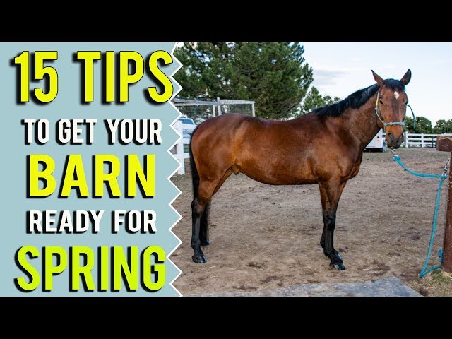 15 Ways To Get Your Barn Ready To Be More Efficient With Your Horse Time