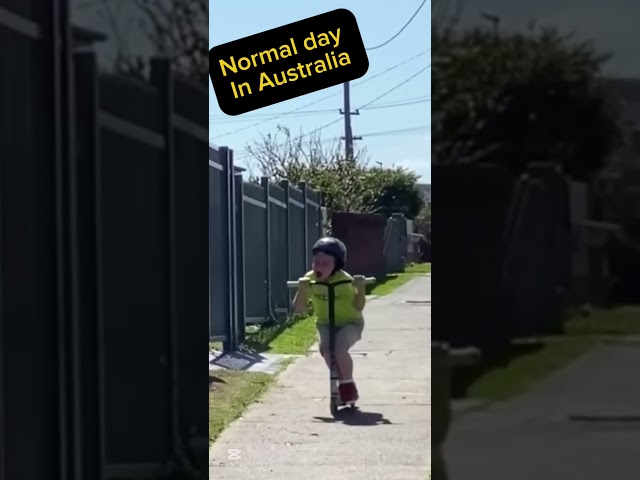 Normal day in Australia #magpies #australia #trending #shorts