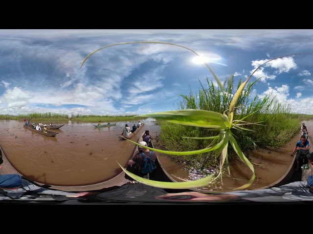 Searching for lemurs on Lake Alaotra 2