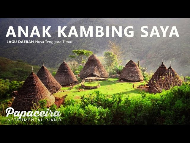 Anak Kambing Saya - Lagu Daerah Nusa Tenggara Timur | Piano Composition by Papaceira