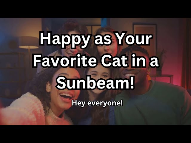 How to Be Happy Part 1 Happy as Your Favorite Cat in a Sunbeam!