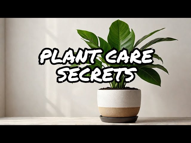 🌱 Essential Care Tips for Your Favorite Houseplants 🏡💚