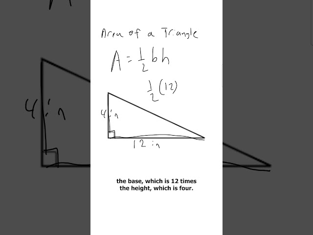 Never Struggle with Triangle Area Math Again!