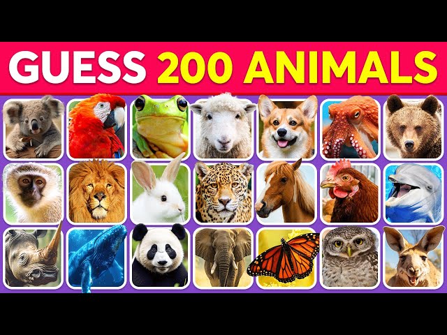 Guess the Animals in 3 Seconds | 200 Random Animals | Animals Quiz 2024