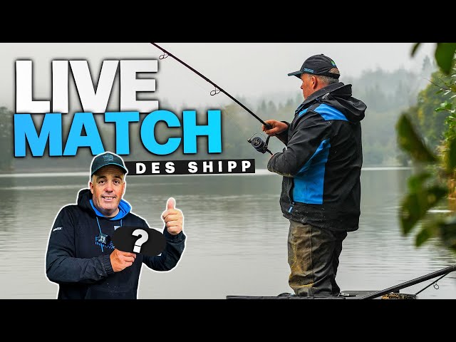 Can Des Shipp WIN A LIVE MATCH? | Shearwater