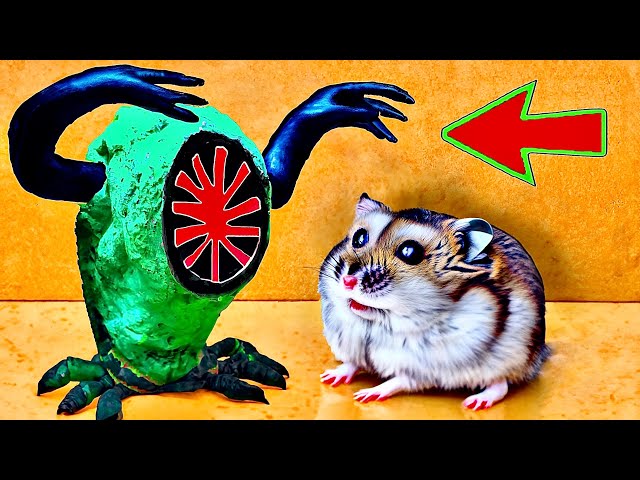 ☠️🐹EPIC Hamster Maze with Traps 😱[OBSTACLE COURSE]😱