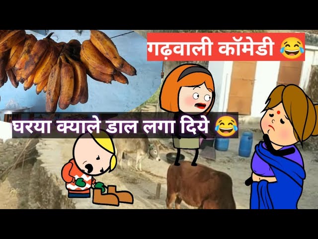 केले जल्दी पकाने मे फंसा lwathya || garhwali comedy ghaprol kitli