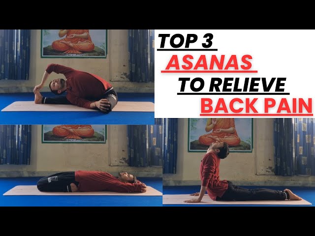 Top 3 Yoga Asanas to Relieve Back Pain Instantly ! Yoga for back pain