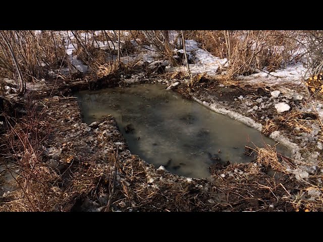 'The whole thing is crazy': Lewiston residents on edge after human remains found in bog