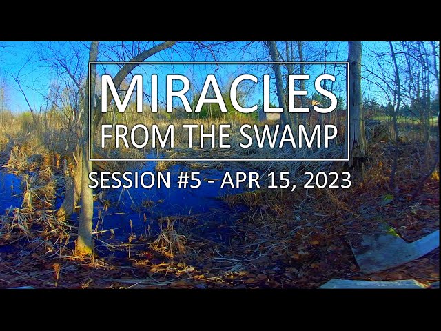 Miracles From The Swamp : Session #5 - April 15, 2023 at 7:48 AM | Virtual Reality / VR180