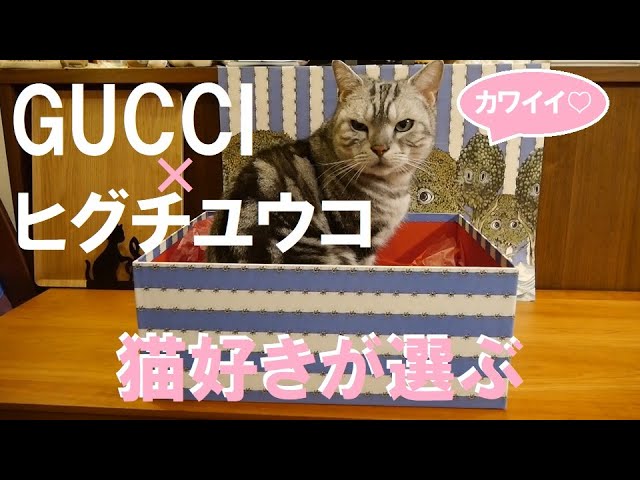 【グッチ】猫好きが選ぶGUCCI【ヒグチユウコ】商品紹介