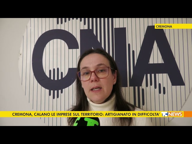 Cremona, calano le imprese sul territorio: artigianato in difficoltà