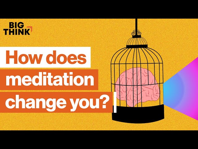 How meditation can change your life and mind | Sam Harris, Jon Kabat-Zinn & more | Big Think