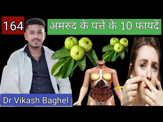 सुबह खाली पेट अमरूद के पत्ते खाने के 10 बड़े फायदे / Amrud khane ke fayde | अमरूद के पत्ते के फायदे