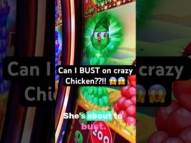 Can this chicken BUST on Crazy Chicken?! #casino #gambling #blackjack #slots #fun #vegas #shorts