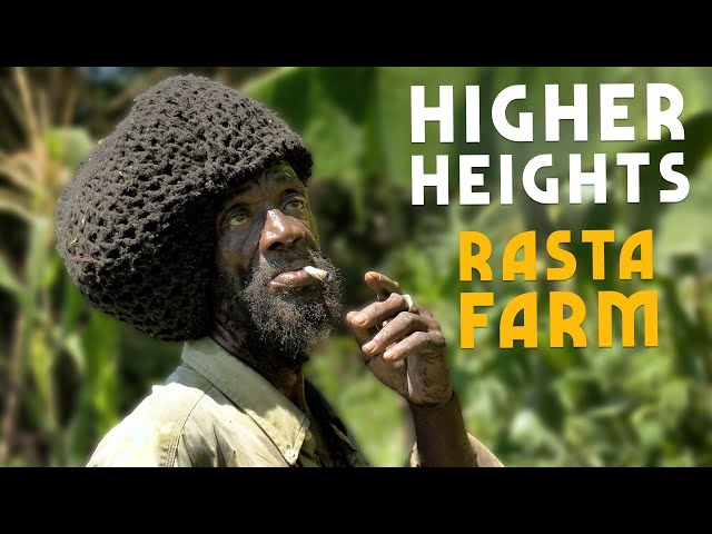 Hike to Higher Heights! Rasta Style Slow Farming in the Mountains of JAMAICA🇯🇲