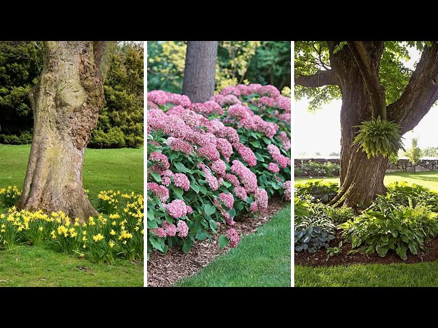 Top 5 Best Plants to Grow Under Trees | Garden Trends 🍃🌿