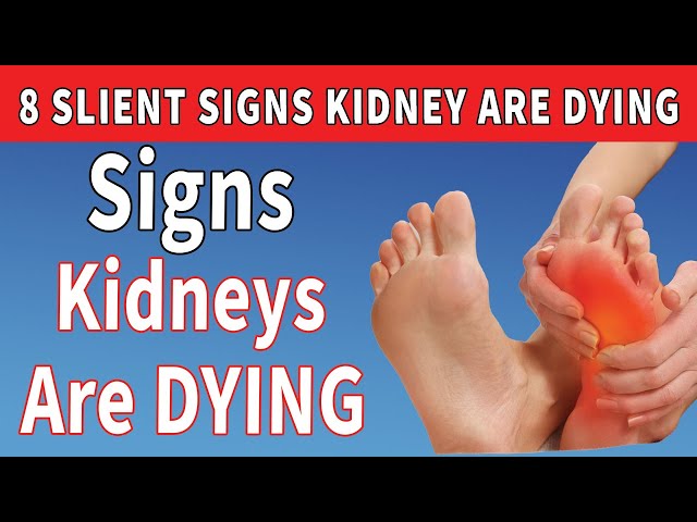 8 Strange Signs Your Kidneys Are Crying for Help (Don’t Ignore These Symptoms!)