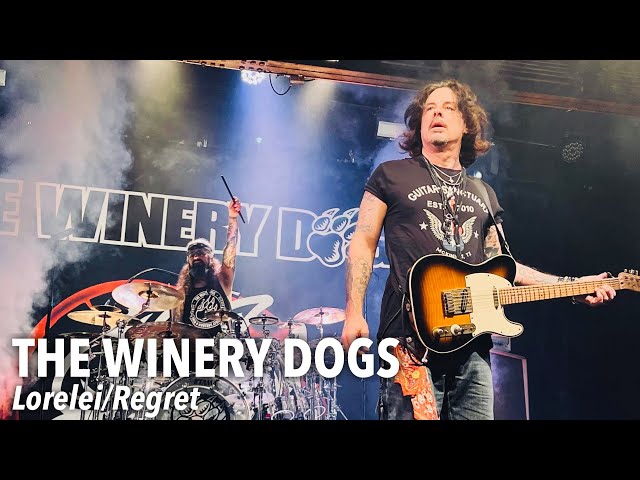 THE WINERY DOGS - Lorelei/Regret - Live @ Warehouse Live - Houston, TX 3/19/23 4K HDR