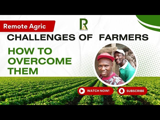 Top 10 Challenges Farmer Faces and How to Overcome Them (Remote Agric Webinar Jan 2025)