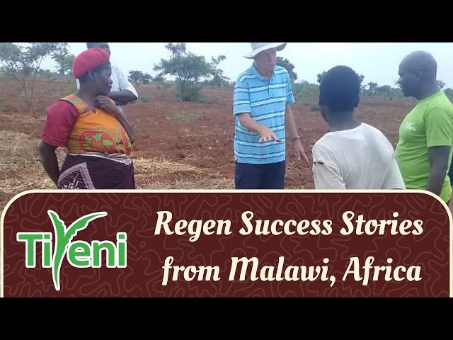 Regen Success Stories from Malawi, Africa