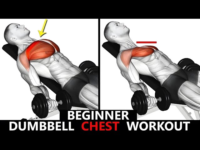 BEGINNER CHEST WORKOUT  MUSCLE BUILDING WORKOUT  DUMBBELL CHEST WORKOUT