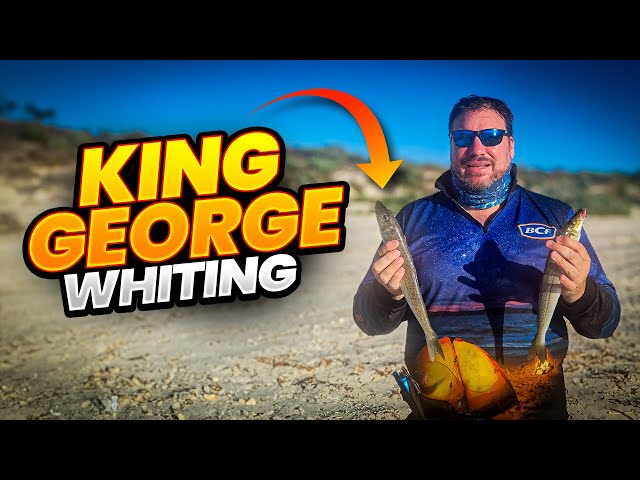 The SECRET to Catching King George Whiting on the BEAC Revealed!