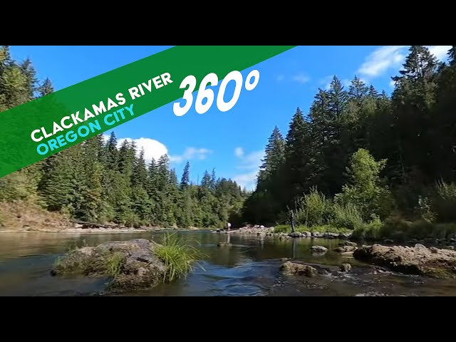 Clackamas River, Oregon GoPro 360 Footage, Peaceful Water Flowing, Sun and Blue Sky with Trees