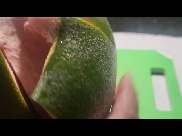 How To Peel Pomelo? #peeling #fruit #food