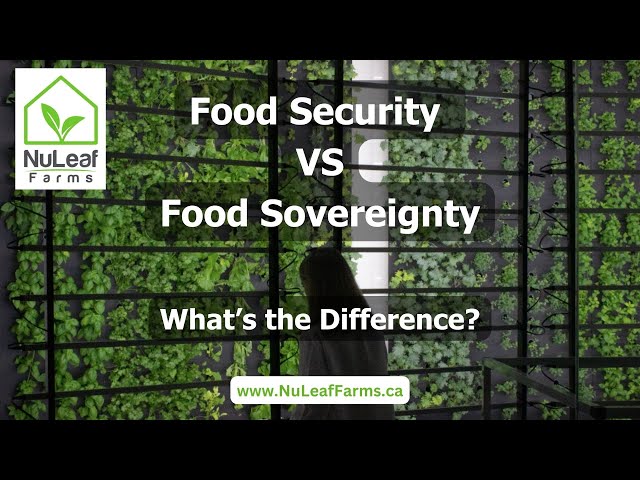 Food Security vs Food Sovereignty- What's the difference #foodsecurity #foodsovereignty #food