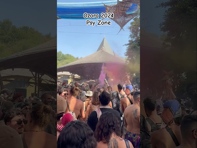 Protonica 📍Ozora Festival 2024 #psyfamily #protonica #psyzone