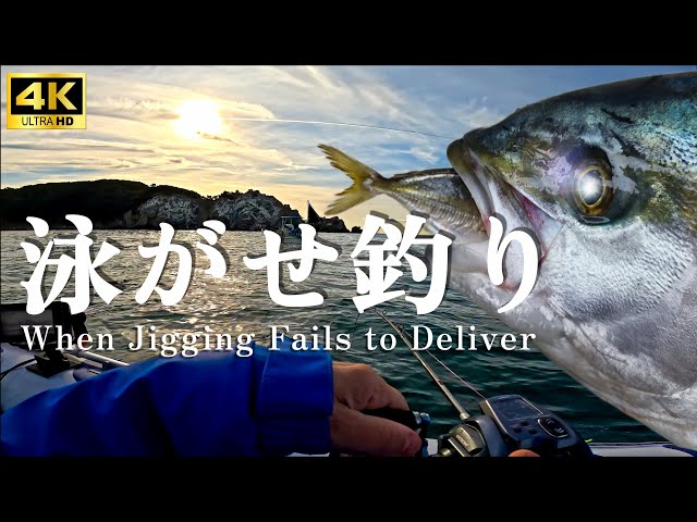 Winter Kingfish Fishing in Japan: A Short Film Pursuing Big Fish in the Cold Seas