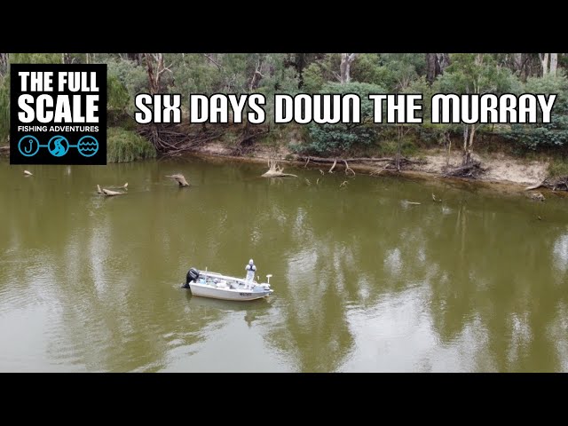 Six Days Down The Murray | The Cod Vlog | The Full Scale