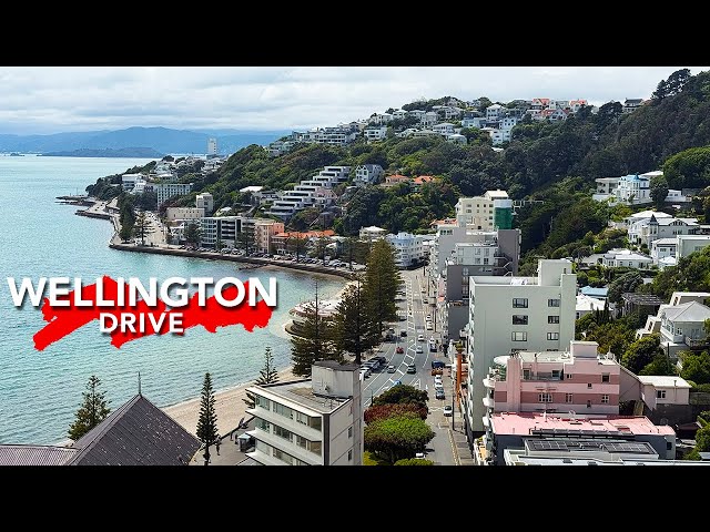 WELLINGTON’S MOST EPIC ROUTE - GREAT HARBOUR WAY / Te Aranui o Pōneke