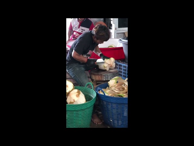 Amazing Coconut Cutting Skills! #shorts #thailand #thaifood #thaistreetfood