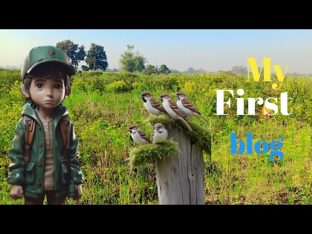 My First Vlog || My First Vlog 😥😢Video2024 || Ritesh Raahi Vlogs😥😢