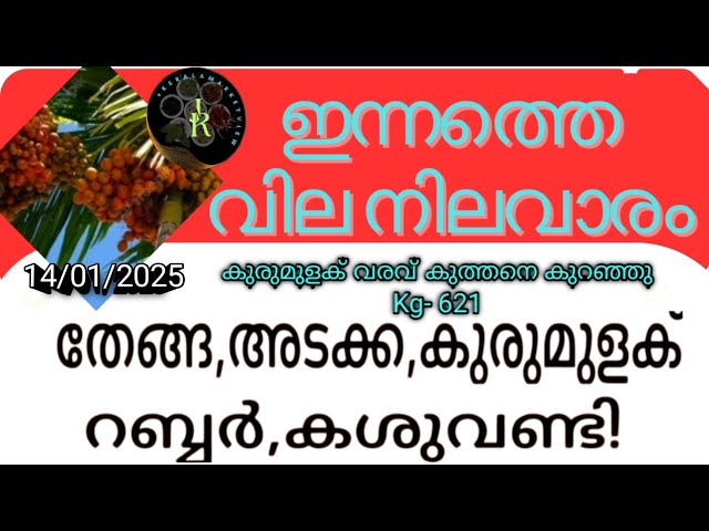 "റബ്ബർ വില ഇന്റർനാഷണൽ മാർക്കറ്റിൽ 600 രൂപ വർദ്ധിച്ചു | Rubber Price Increase News" | Kerala