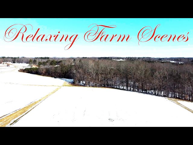 Relaxing Farm Scenes set to Classical music (time lapse and drone footage) #80