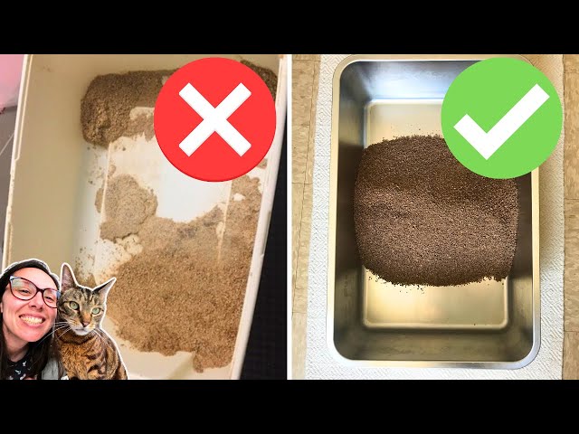 Easy litter cleaning hacks that keep the smell out