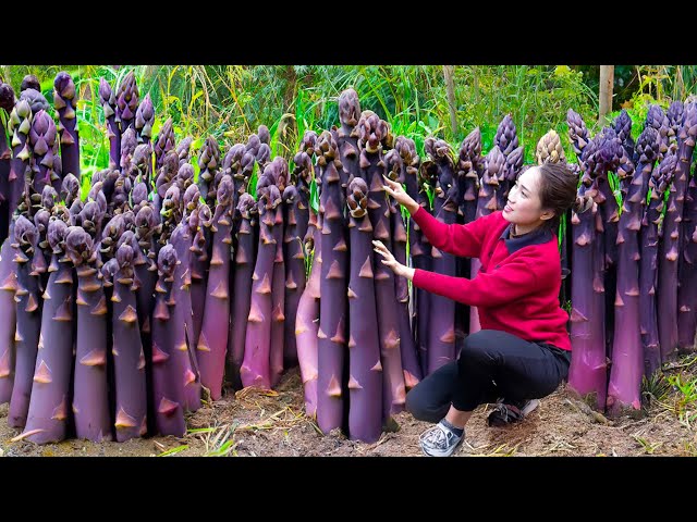 Diary in Forest | Harvesting Mutant Giant Asparagus to sell | First time on the market