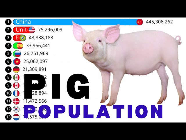 20 COUNTRIES WITH THE LARGEST PIGS POPULATION IN THE WORLD